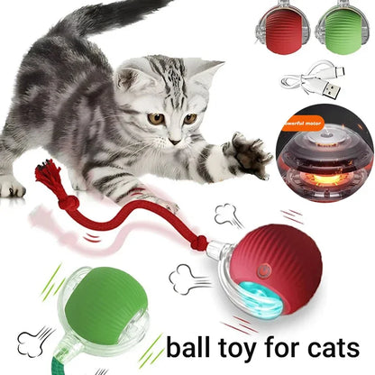 Pet Smart Interactive Ball Rechargeable Cat Ball Smart Kitten Dog Interaction Toy Intelligent Toy Ball Automatic Rolling Cat Toy