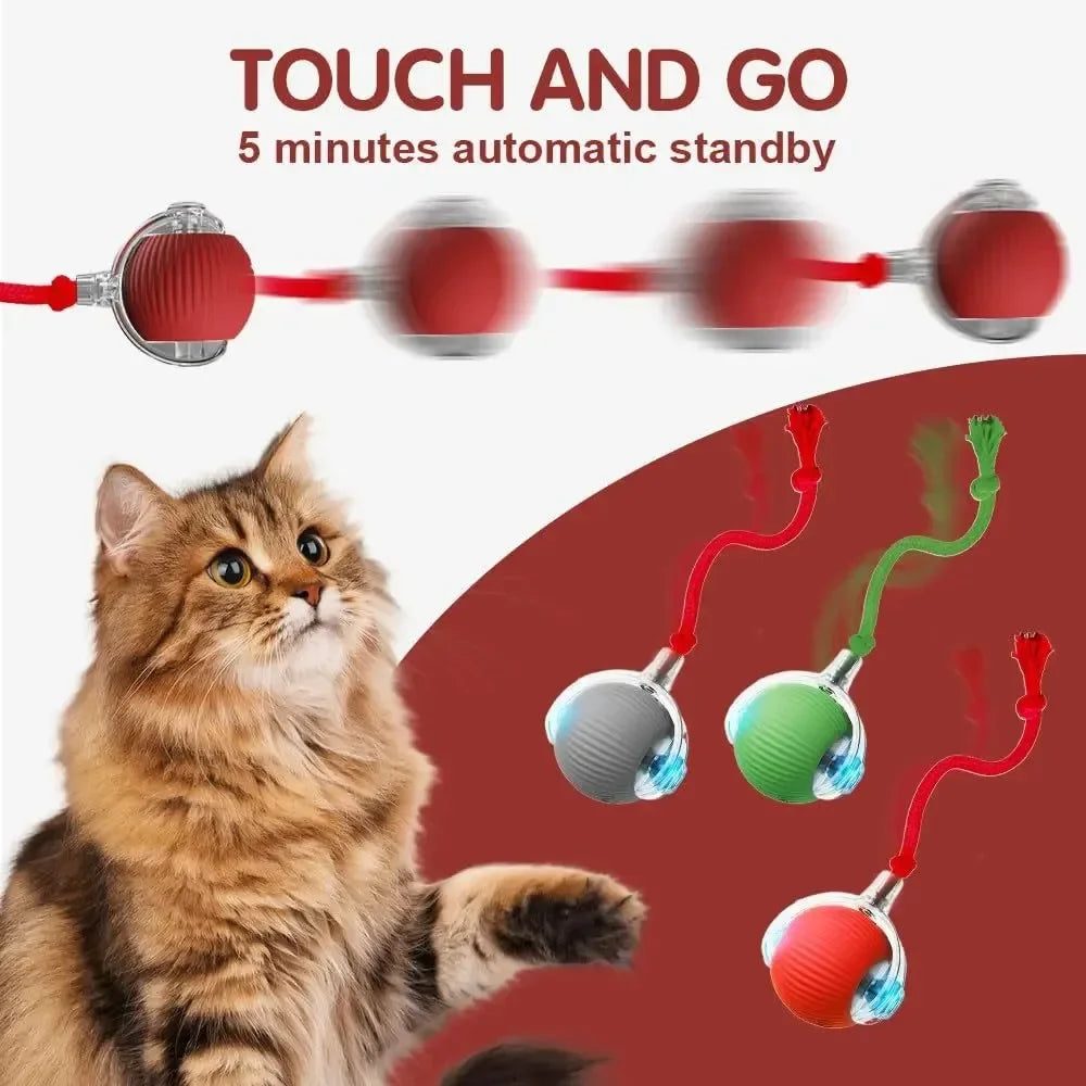 Pet Smart Interactive Ball Rechargeable Cat Ball Smart Kitten Dog Interaction Toy Intelligent Toy Ball Automatic Rolling Cat Toy