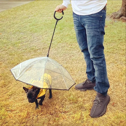 Dog Umbrella with Leash