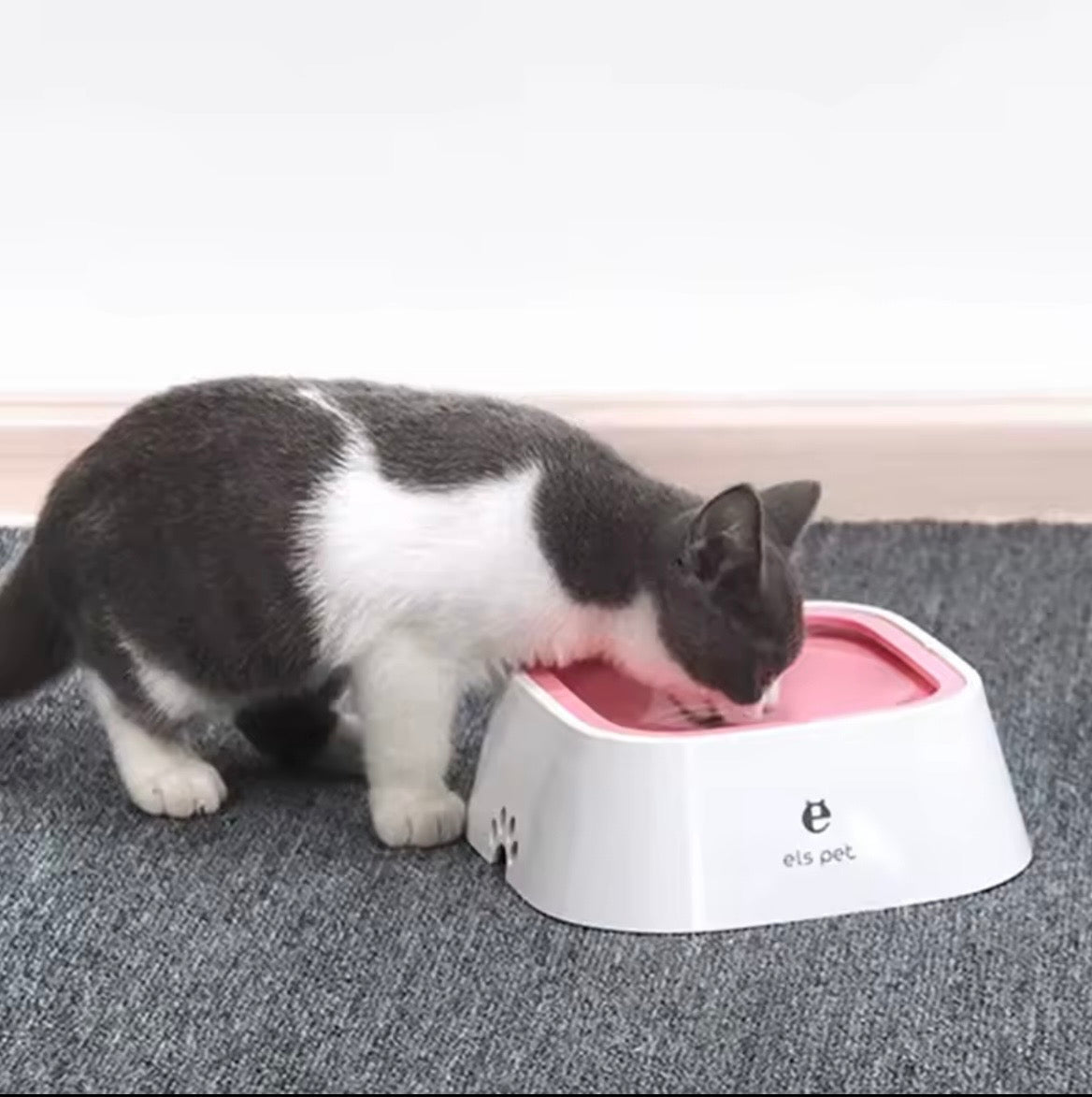 Pet Automatic Water Bowl
